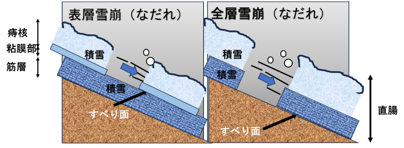 全層雪崩