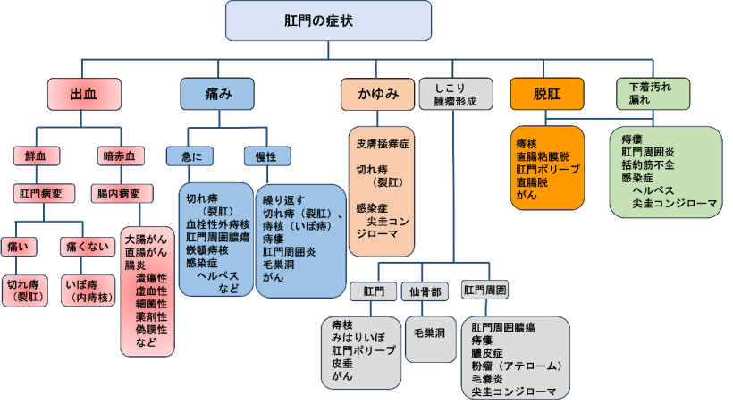 肛門の症状