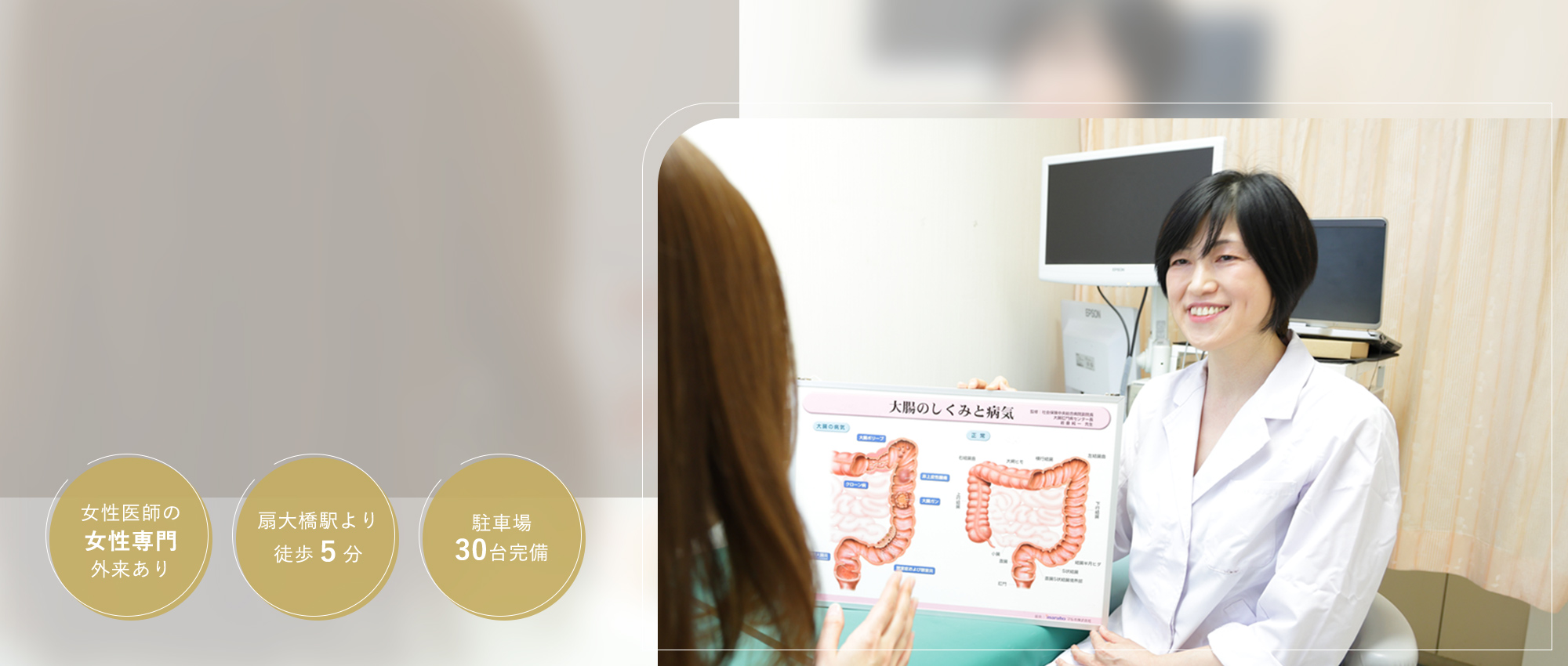 女性医師の女性専門外来あり 扇大橋駅より徒歩５分 駐車場30台完備